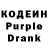 Amphetamine Premium Diana Kotolian
