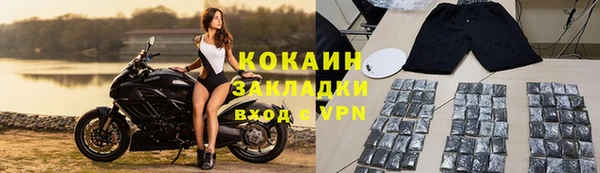 соль ск Арсеньев