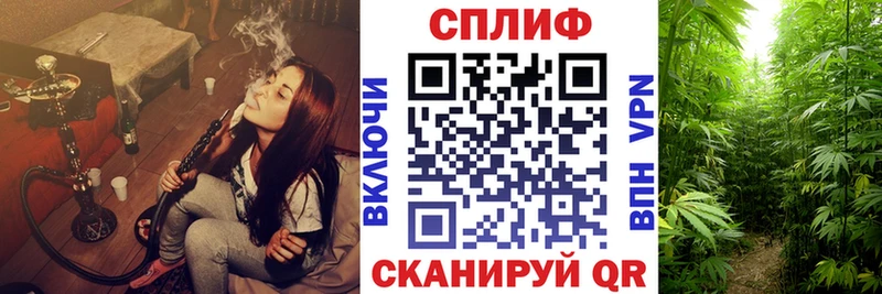 Канабис AK-47  как найти закладки  Белинский 